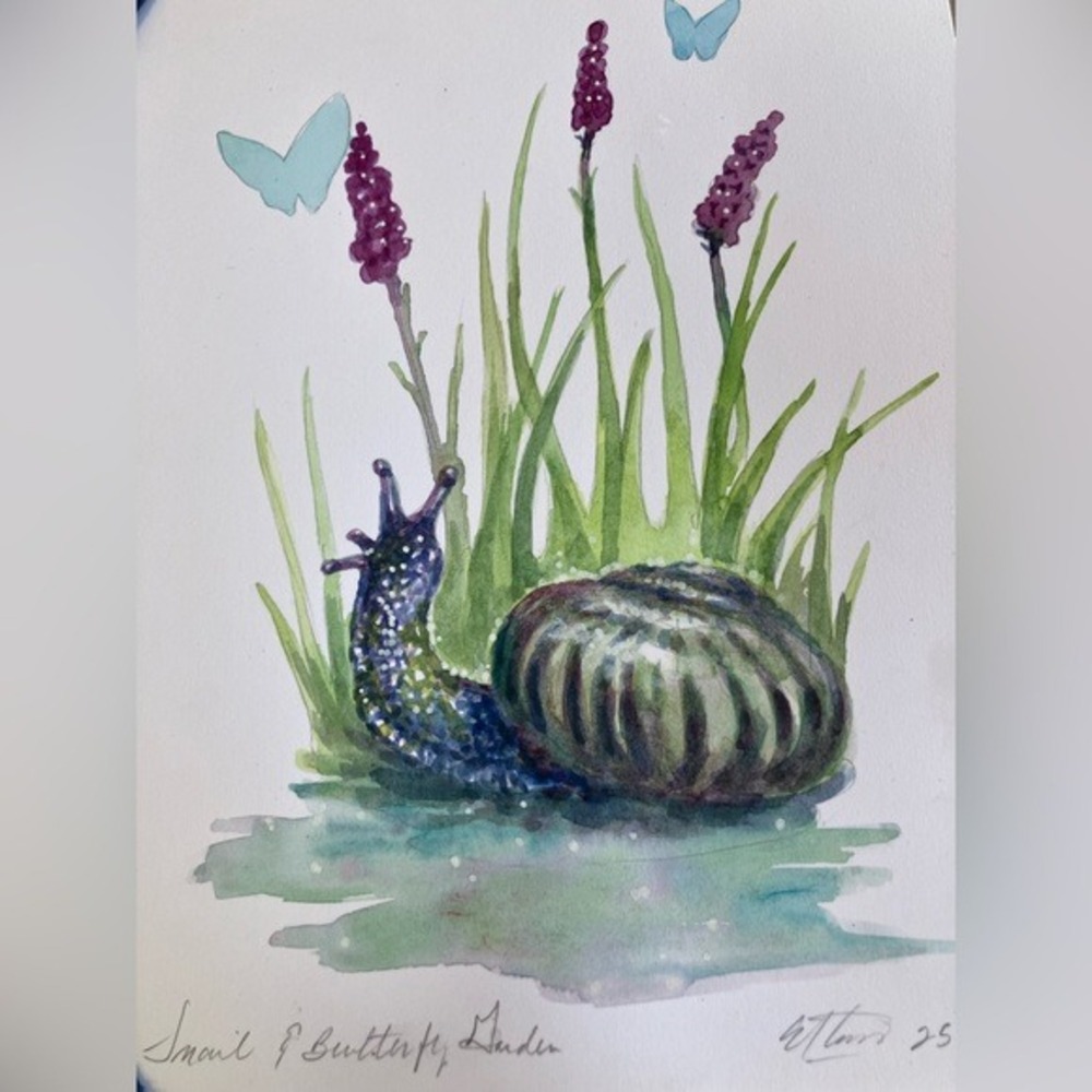 Butterfly snail original Watercolor painting Art Garden Nature decor Artettina
